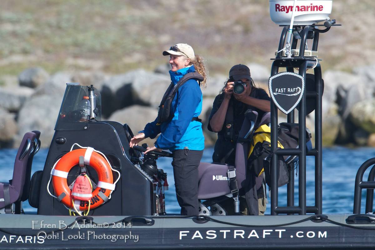 KS-FastRaft-DB_byEfren