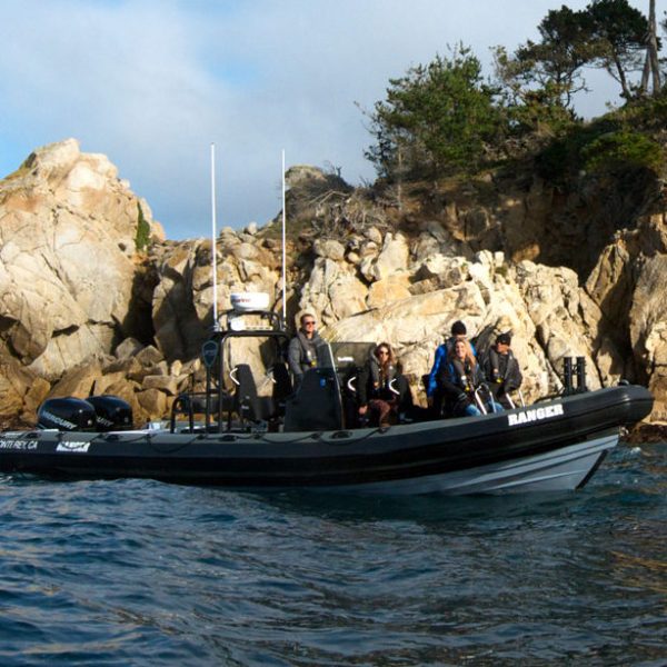 Fast Raft at Pt. Lobos