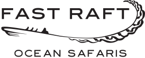 Fast Raft Ocean Safaris on Monterey Bay