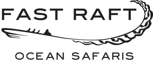 Fast Raft Ocean Safaris on Monterey Bay